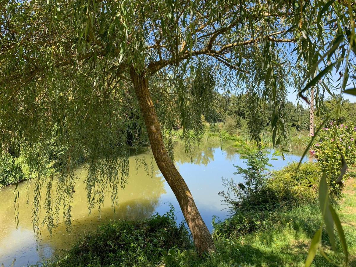 La Maison Rouzies La Bastide-l'Eveque Exteriér fotografie